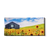 Sunflowers Panoramic - College Wall Art#Canvas