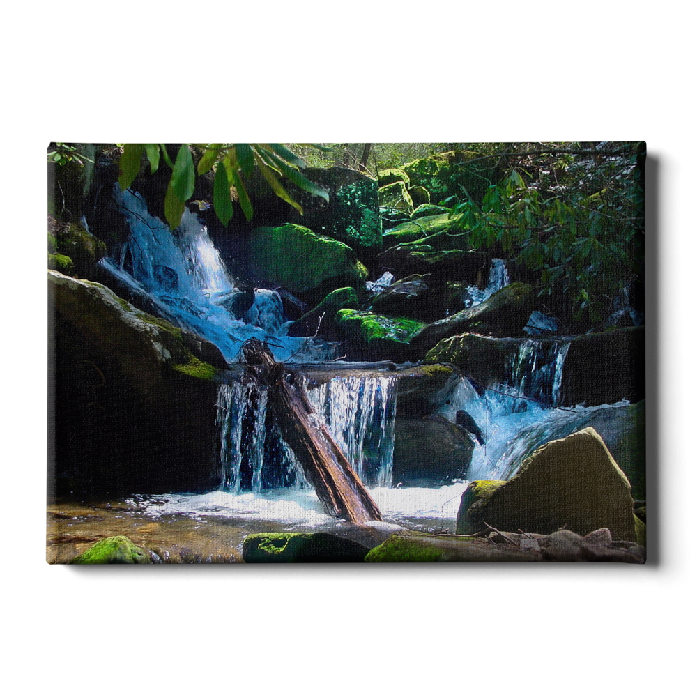 Tennessee Creek - College Wall Art