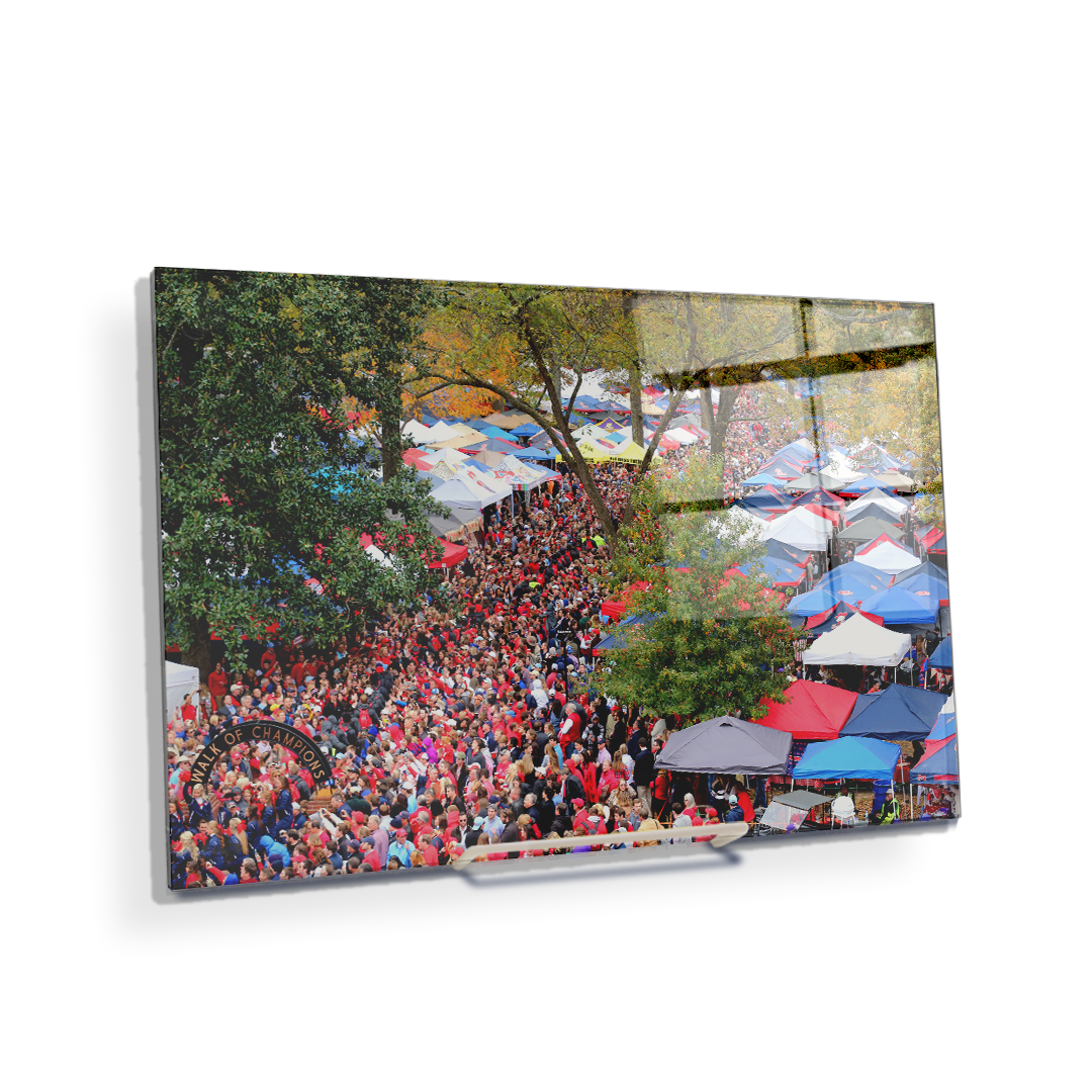 Ole Miss Rebels - Aerial Grove - College Wall Art #Canvas
