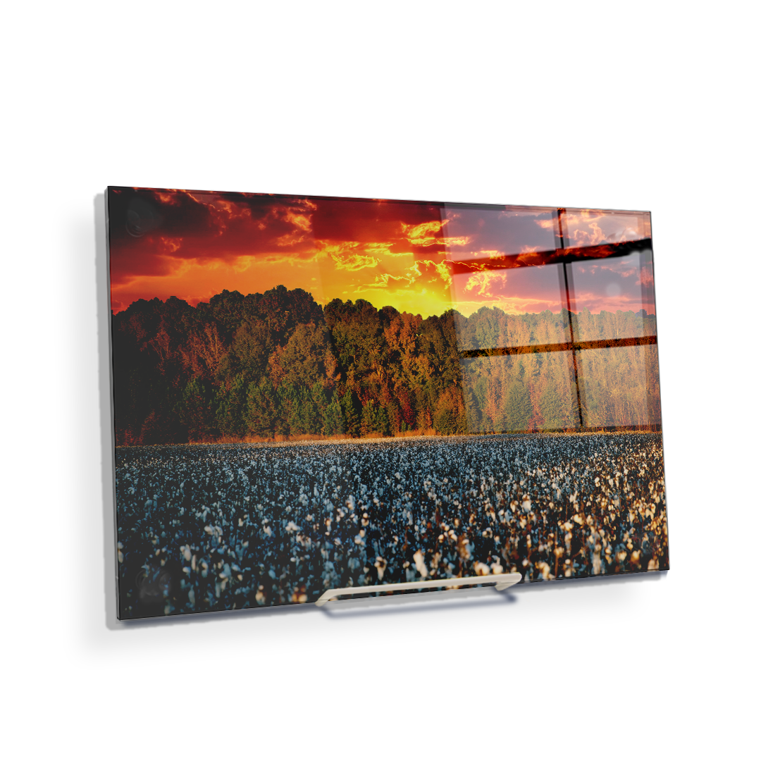 Cotton Field -College Wall Art #Canvas