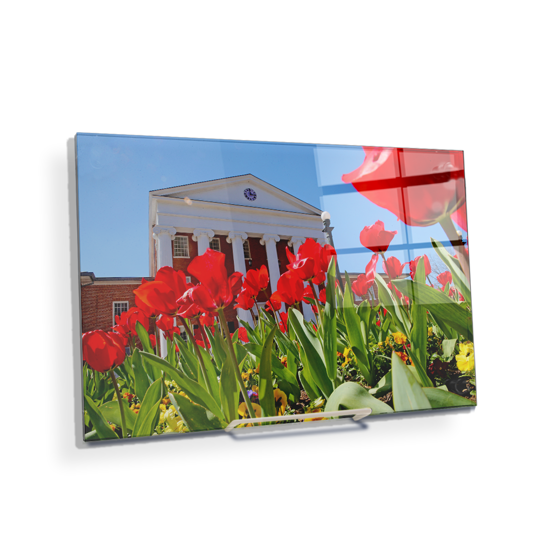 Ole Miss Rebels - Spring Lyceum - College Wall Art #Canvas