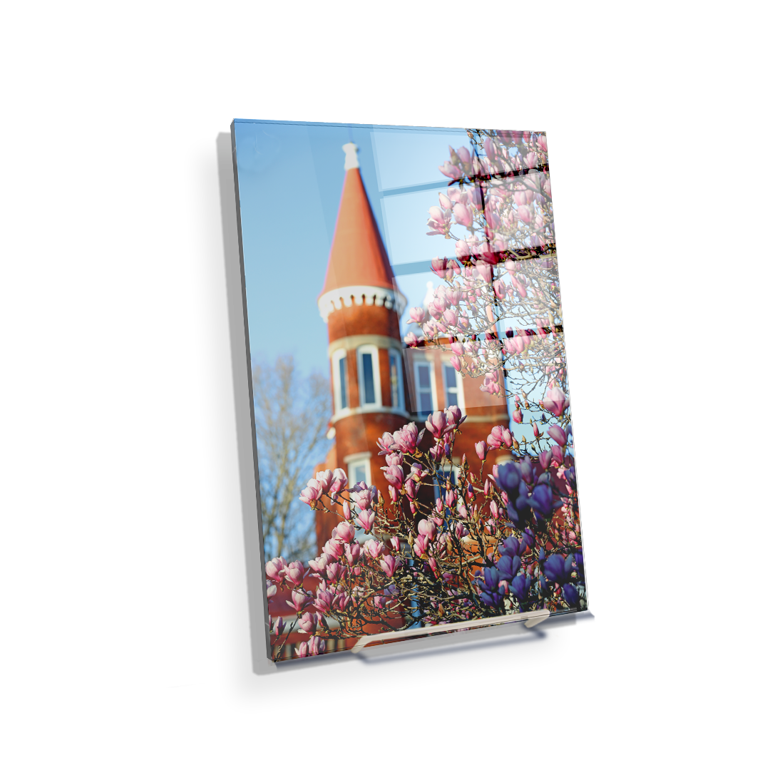 Ole Miss Rebels - Spring at Ole Miss - College Wall Art #Canvas
