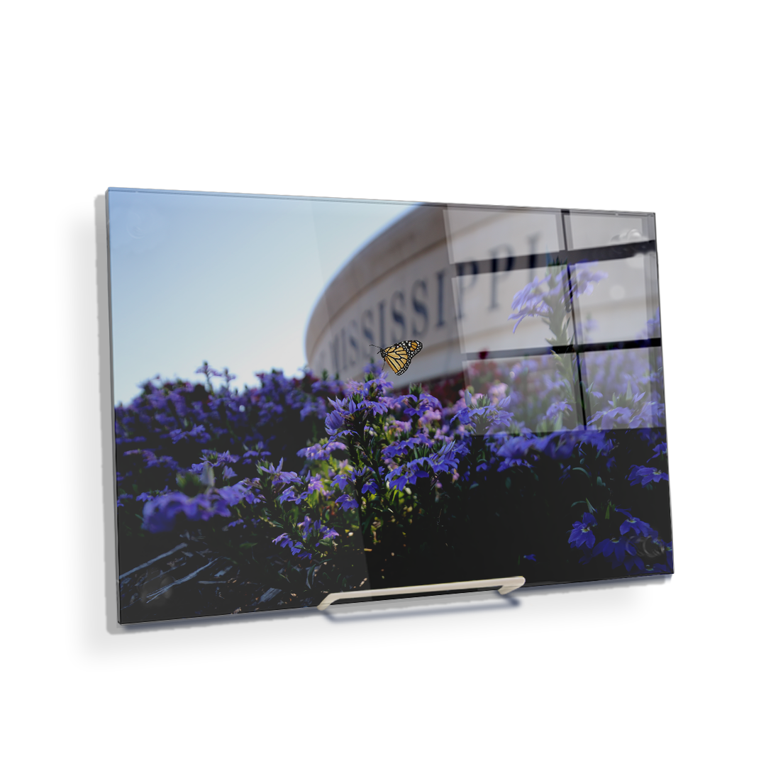 Ole Miss Rebels - Mississippi Butterfly - College Wall Art #Canvas