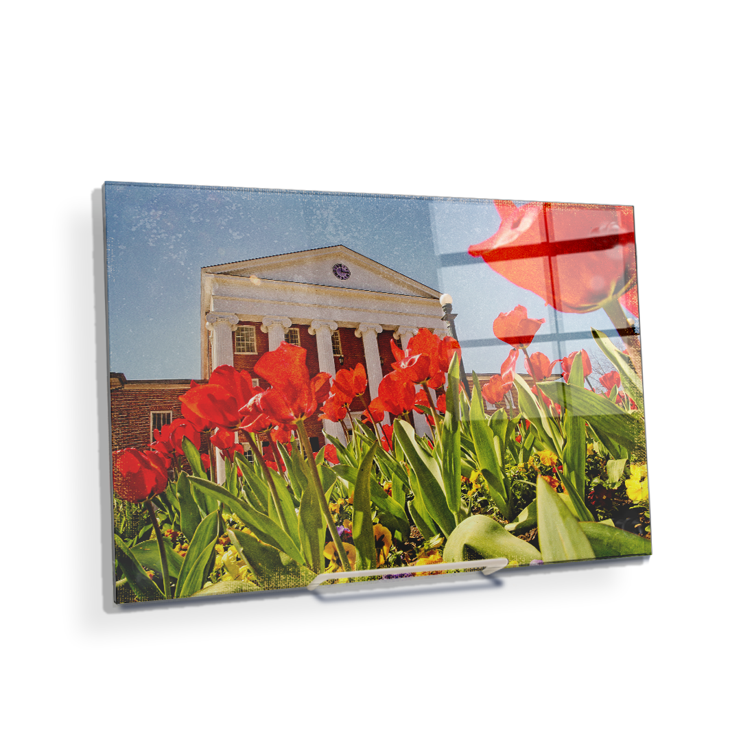 Ole Miss Rebels - Lyceum Grand Tulip Paint - College Wall Art #Canvas