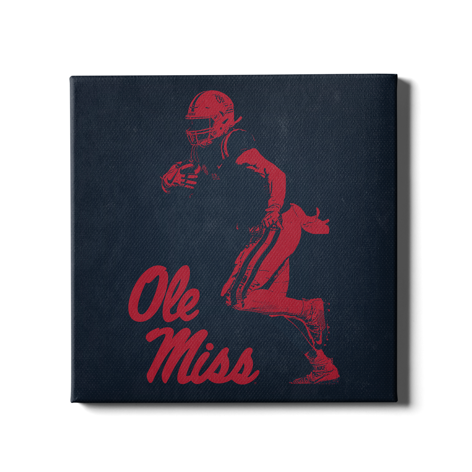 Ole Miss Rebels - Ole Miss Red & Blue - College Wall Art #Canvas