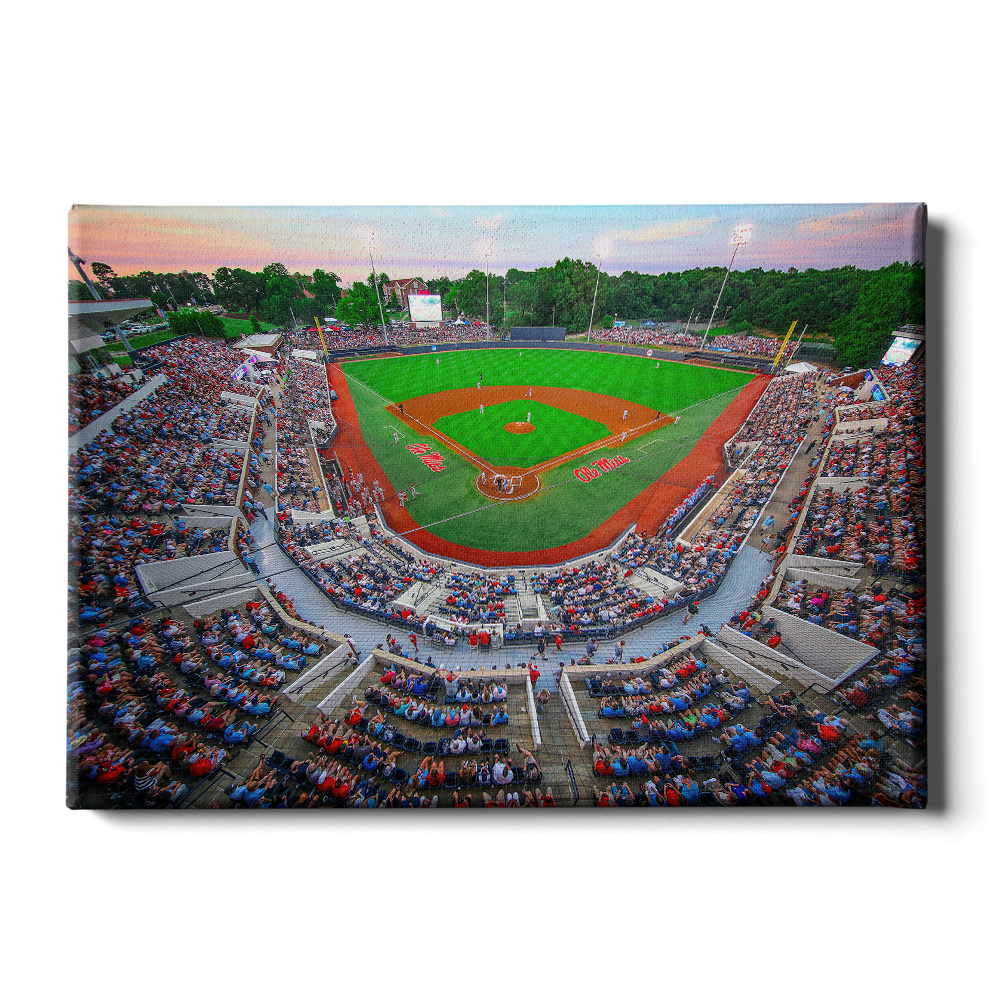 Ole Miss Rebels - NCAA Swayze - College Wall Art #Canvas