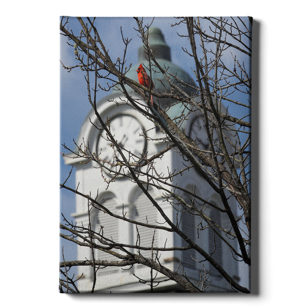 Ole Miss Rebels - Oxford Cardinal - College Wall Art #Canvas