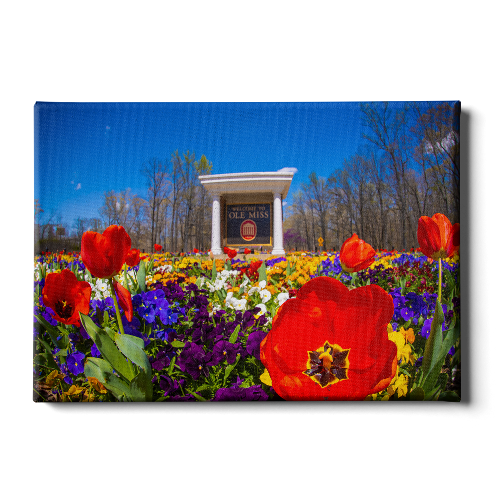 Ole Miss Rebels - 2021 Tulip Circle - College Wall Art #Canvas