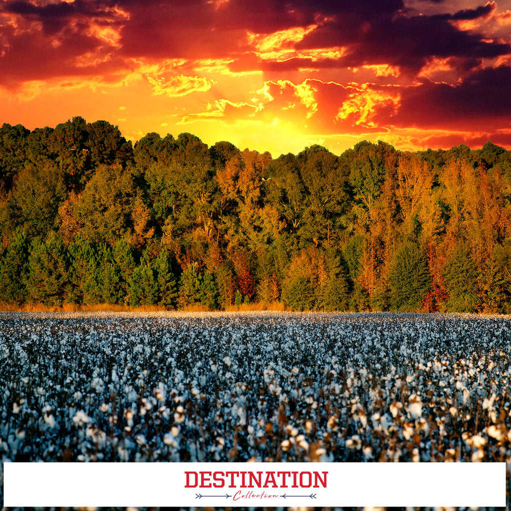 DESTINATION COLLECTION