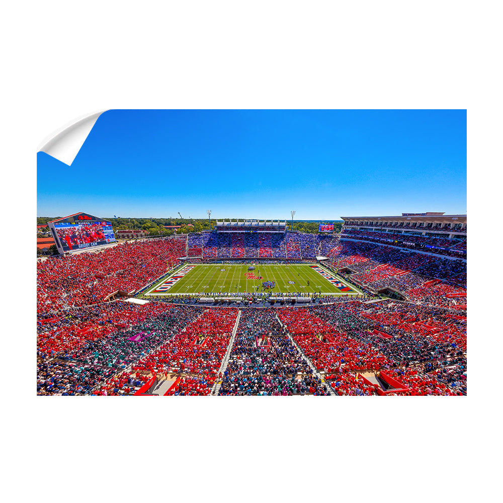 Ole Miss Rebels - Ole Miss Stripe Out - College Wall Art #Canvas