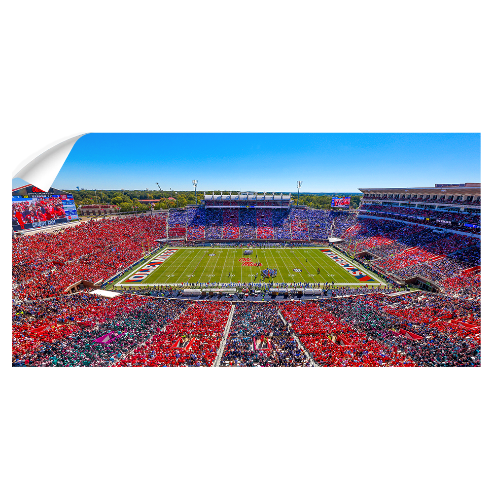 Ole Miss Rebels - Ole Miss Stripe Out Panoramic - College Wall Art #Canvas