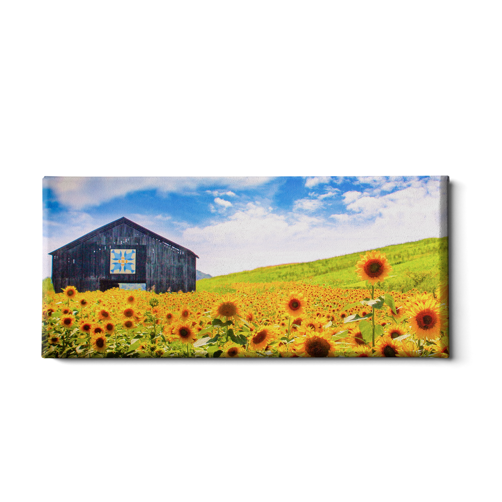 Sunflowers Panoramic - College Wall Art#Canvas