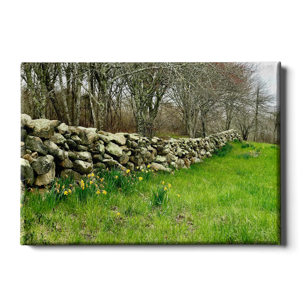 Stone Wall - College Wall Art