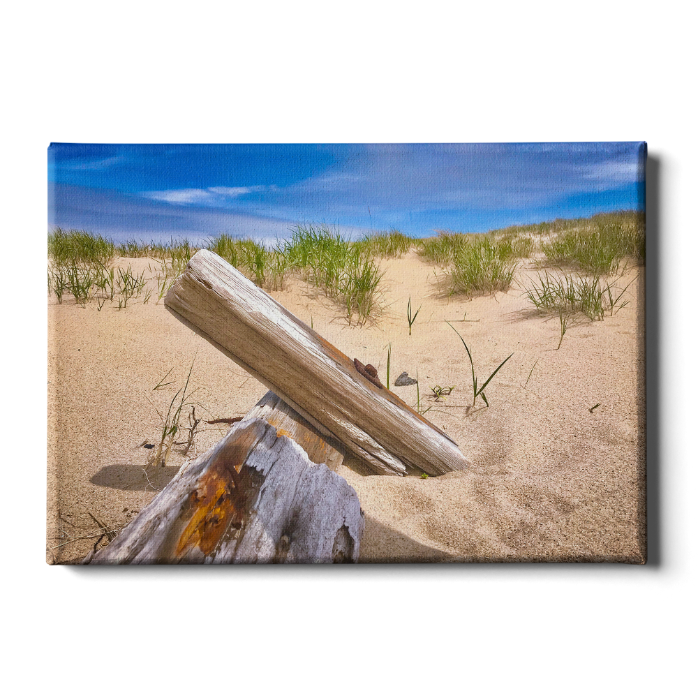 Cape Cod Sand Dune - College Wall Art