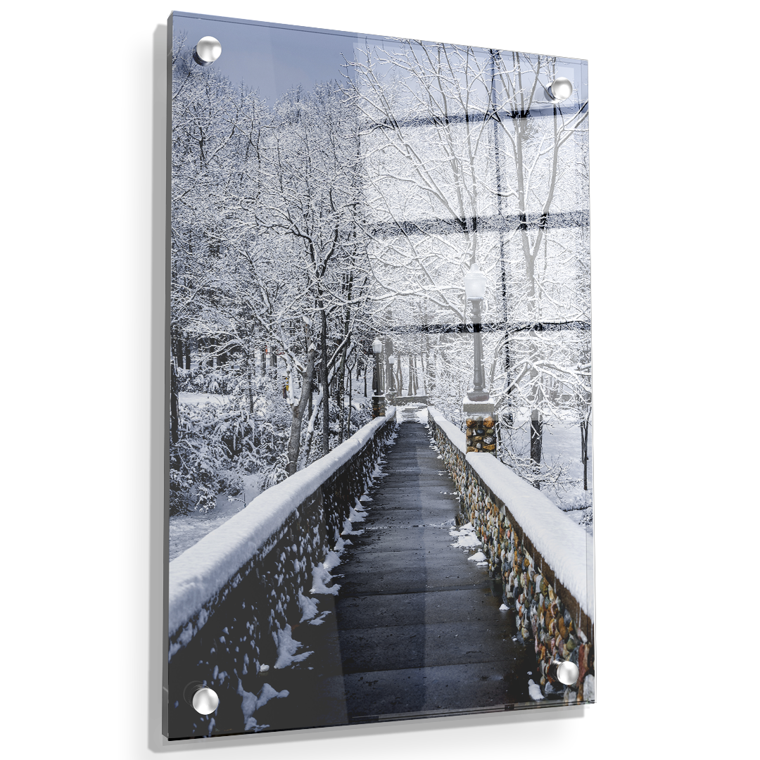 Winter Bridge - College Wall Art#Canvas