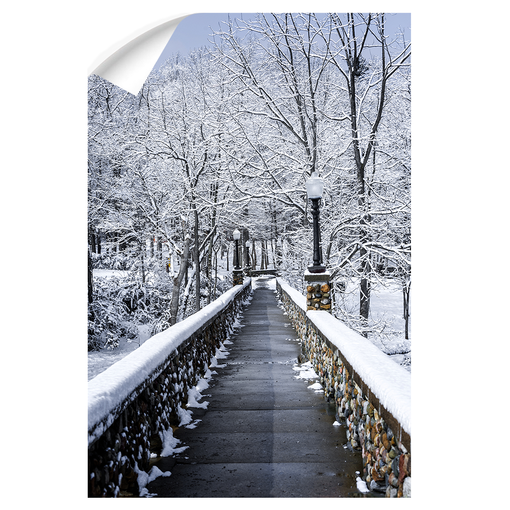 Winter Bridge - College Wall Art#Canvas