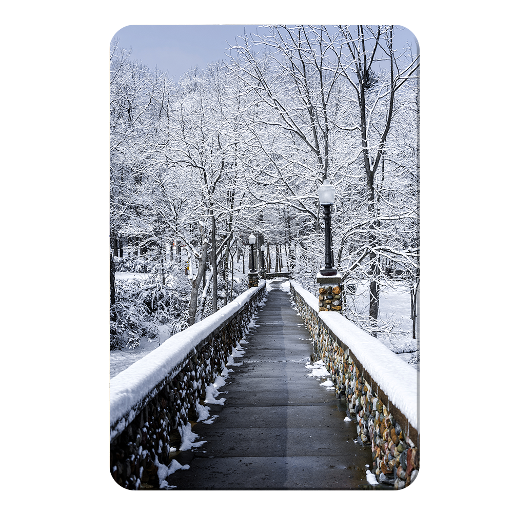 Winter Bridge - College Wall Art#Canvas