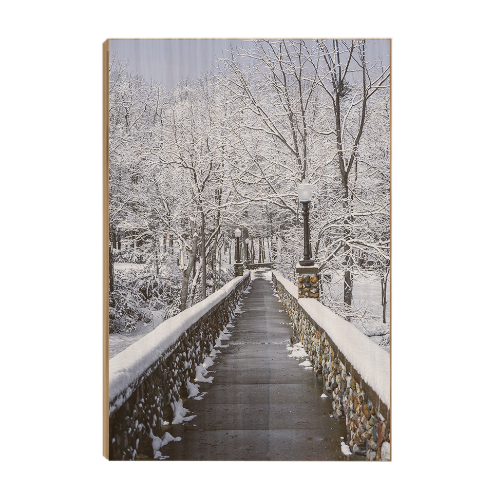 Winter Bridge - College Wall Art#Canvas