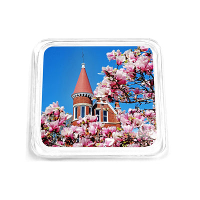 Ole Miss Rebels - Cherry Blossom Ventress Drink Coaster