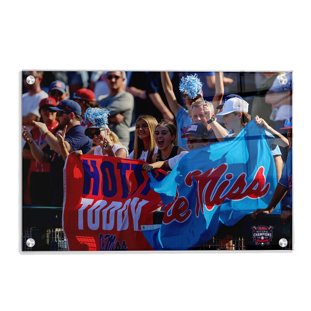 Ole Miss Rebels - Hotty Toddy Ole Miss - College Wall Art #Canvas