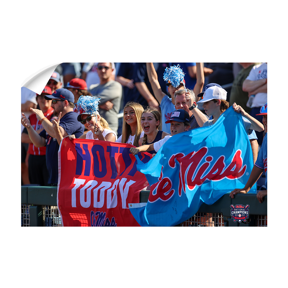 Ole Miss Rebels - Hotty Toddy Ole Miss - College Wall Art #Canvas