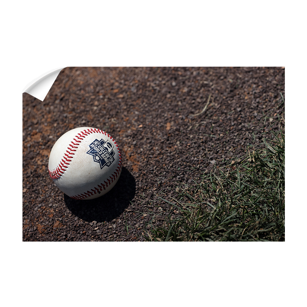 Ole Miss Rebels - CWS Baseball - College Wall Art #Canvas