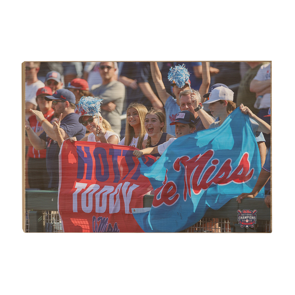 Ole Miss Rebels - Hotty Toddy Ole Miss - College Wall Art #Canvas