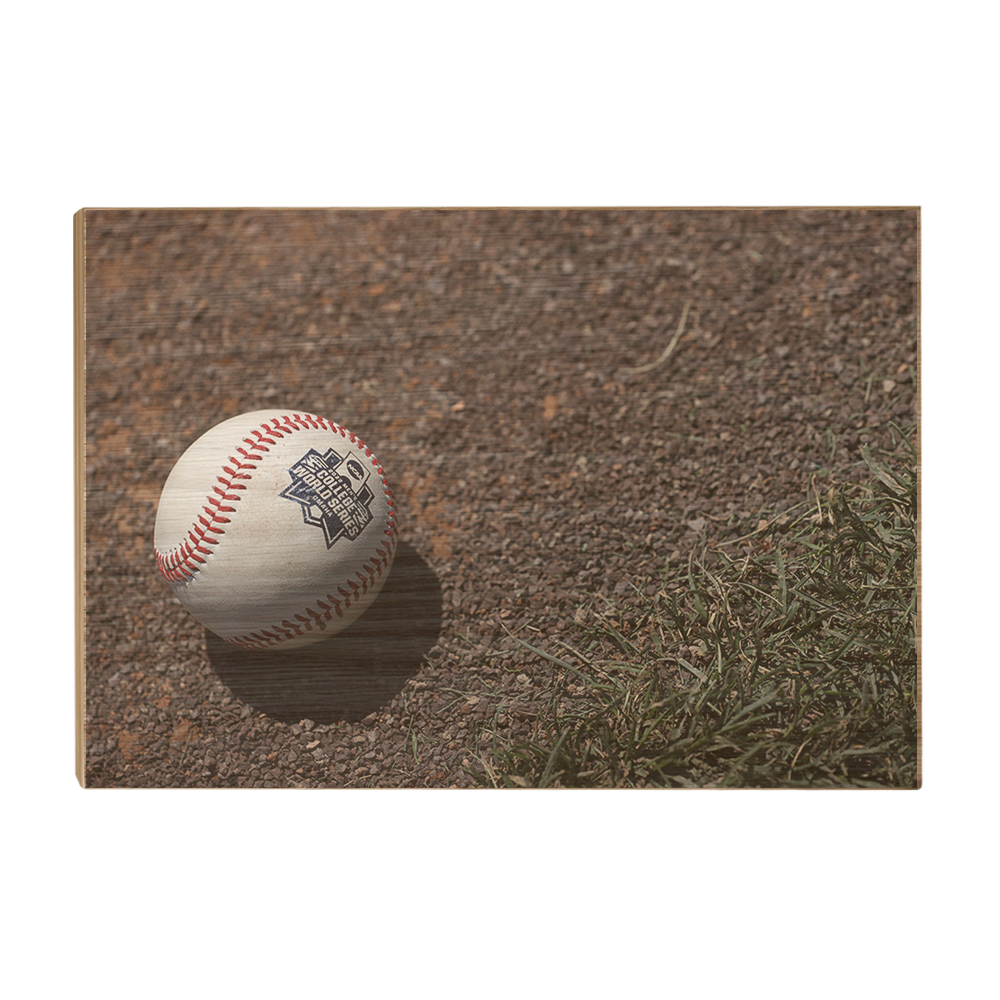 Ole Miss Rebels - CWS Baseball - College Wall Art #Canvas