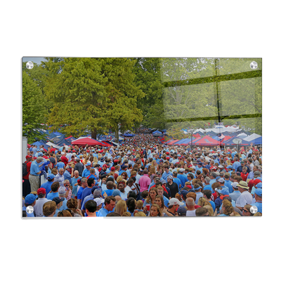 Ole Miss Rebels - Swarm the Grove - College Wall Art #Acrylic