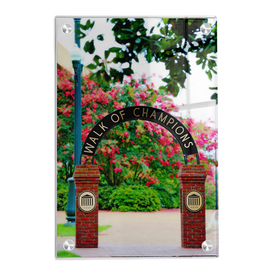 Ole Miss Rebels - Spring Walk of Champions - College Wall Art #Acrylic