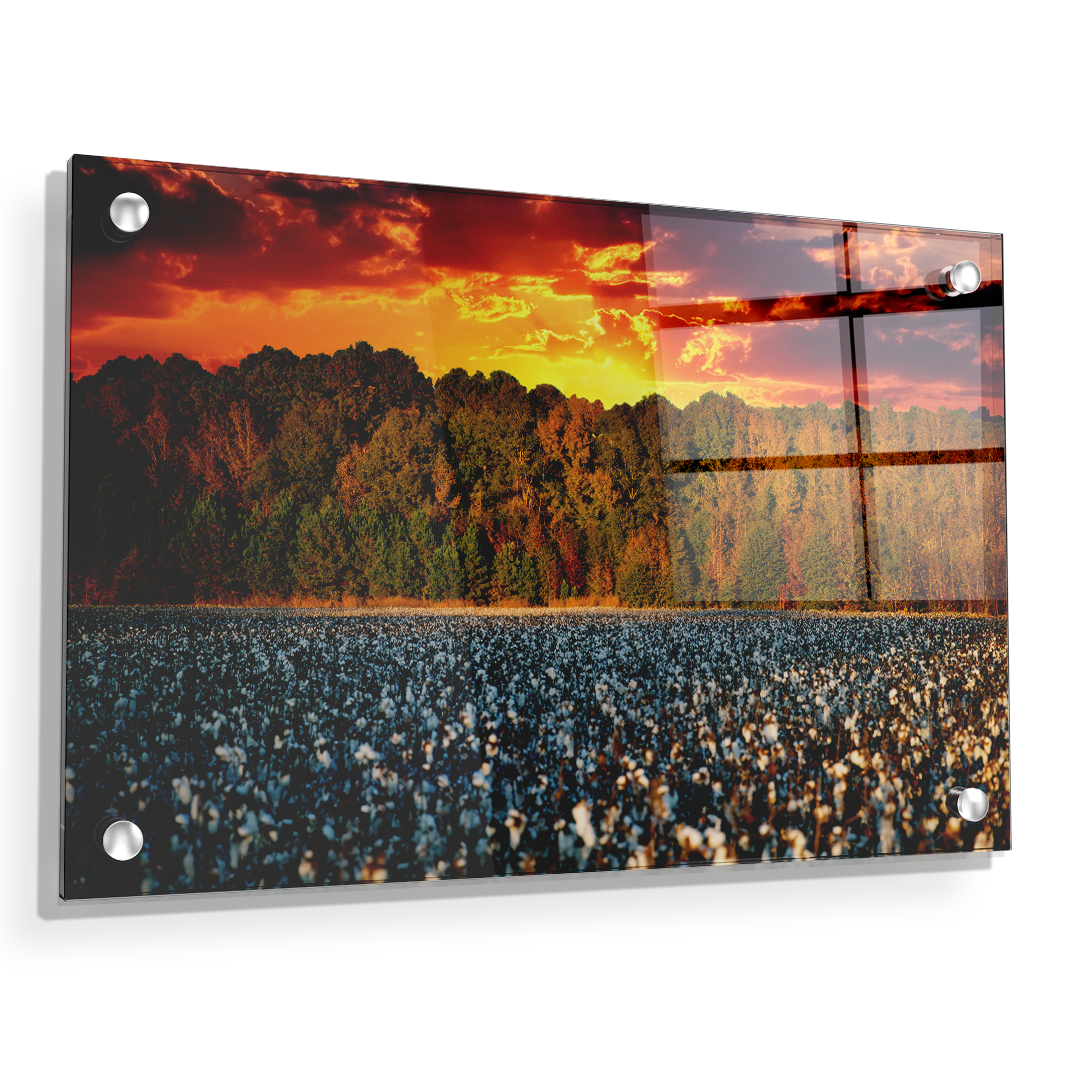 Cotton Field -College Wall Art #Canvas