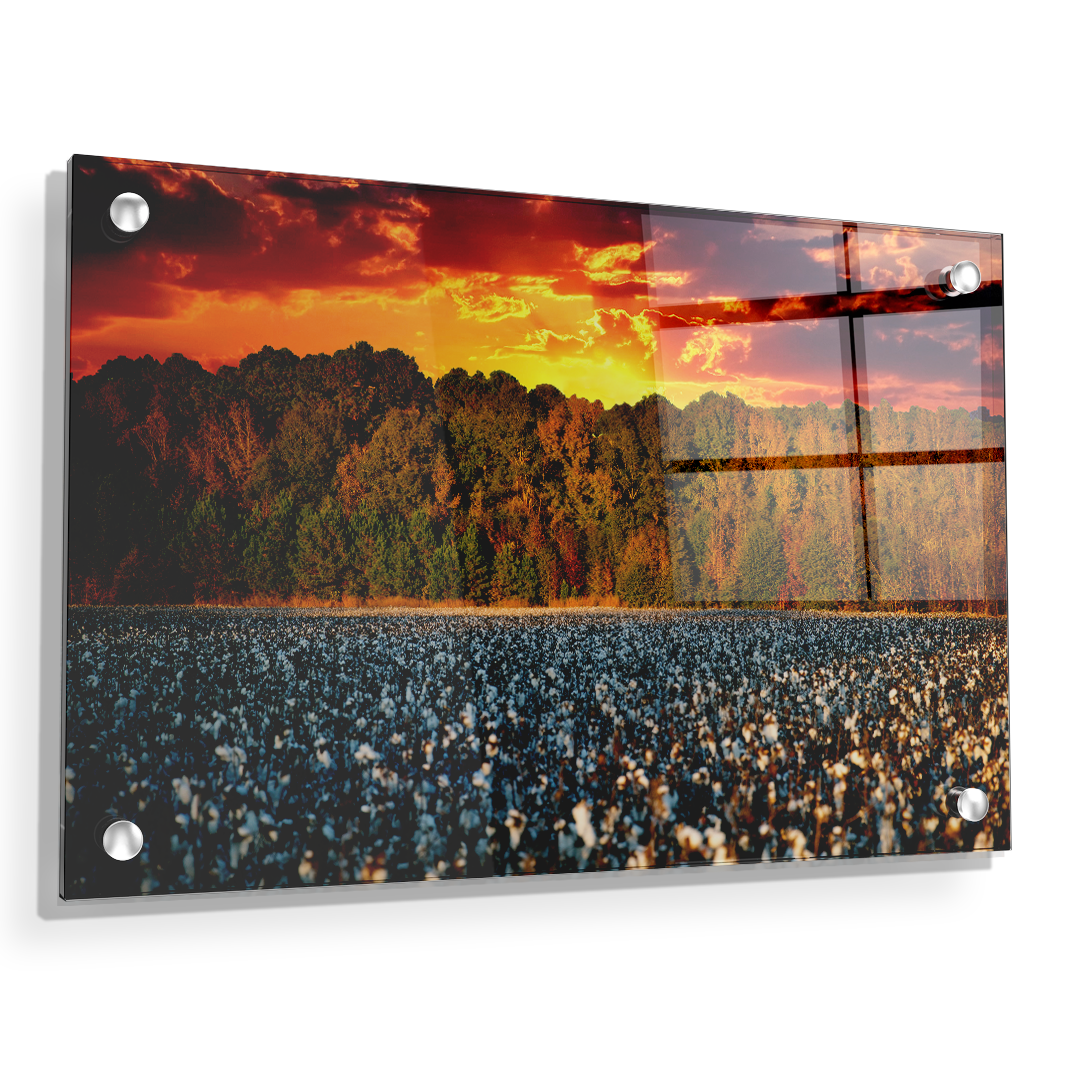 Cotton Field -College Wall Art #Canvas