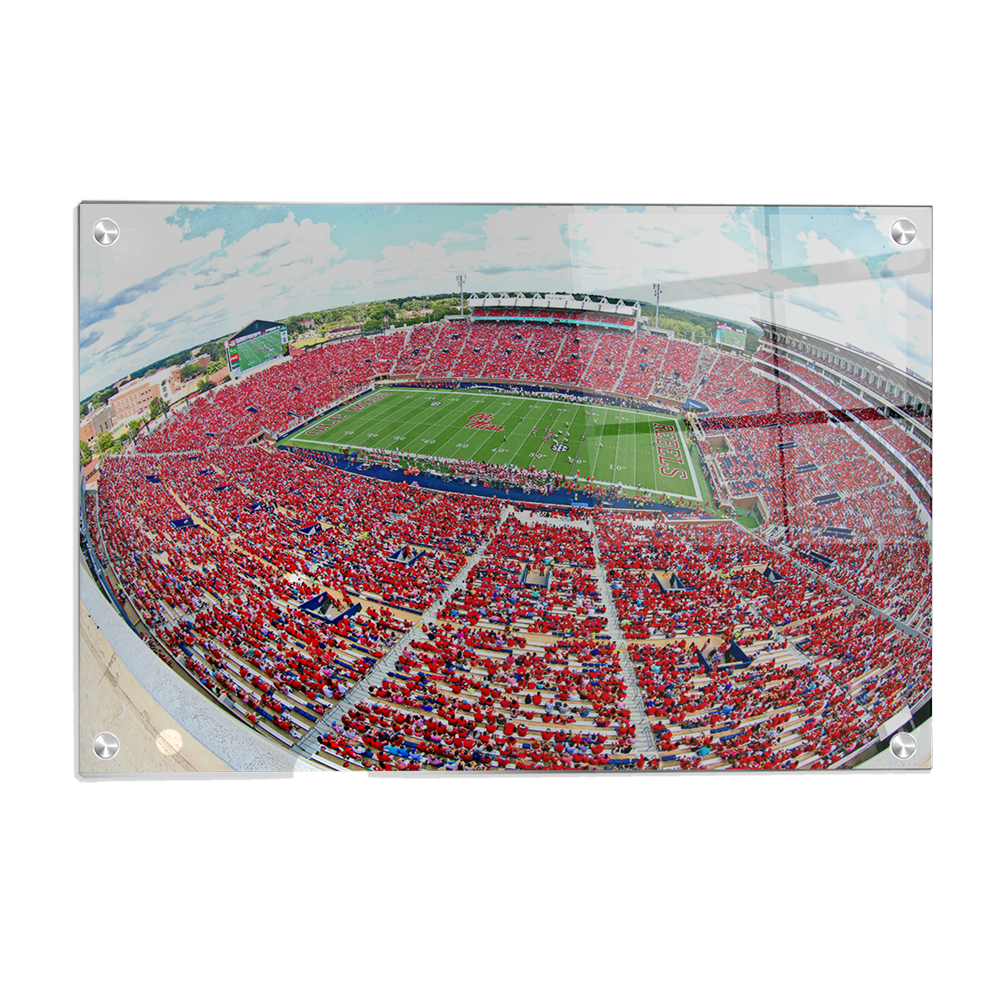 Officially Licensed NFL Kansas City Chiefs Wall Art -Arrowhead Stadium