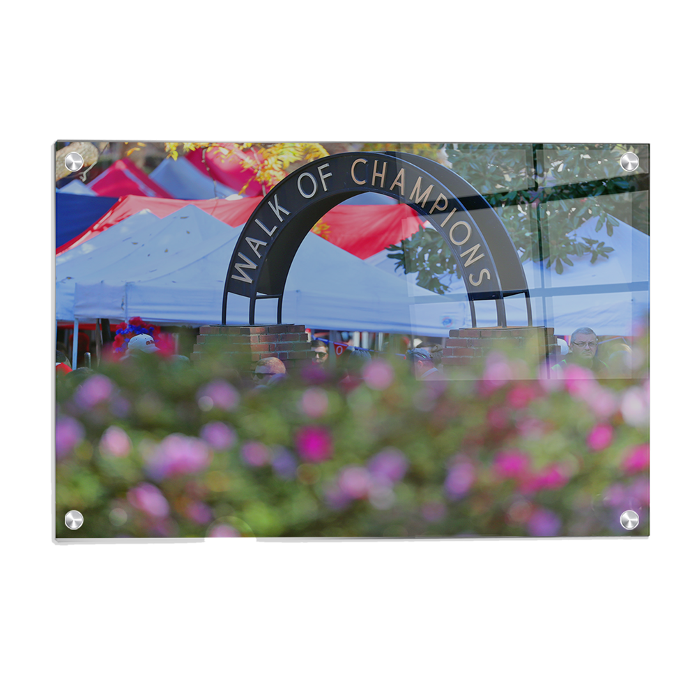 Ole Miss Rebels - Walk of Champions Up Close - College Wall Art #Canvas