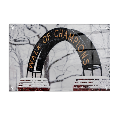 Ole Miss Rebels - Snowy Day Walk of Champions - College Wall Art #Acrylic