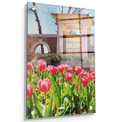Ole Miss Rebels - University of Mississippi Spring Entrance - College Wall Art #Acrylic