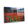 Ole Miss Rebels - Spring Flowers - College Wall Art #Acrylic Mini