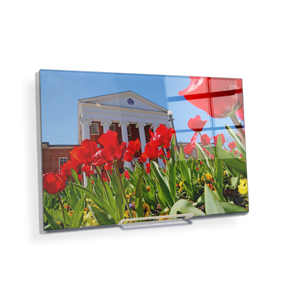 Ole Miss Rebels - Spring Lyceum - College Wall Art #Acrylic Mini
