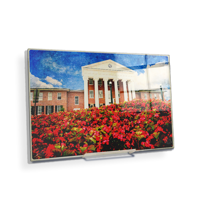 Ole Miss Rebels - Lyceum Paint - College Wall Art #Acrylic Mini