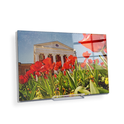 Ole Miss Rebels - Lyceum Grand Tulip Paint - College Wall Art #Acrylic Mini