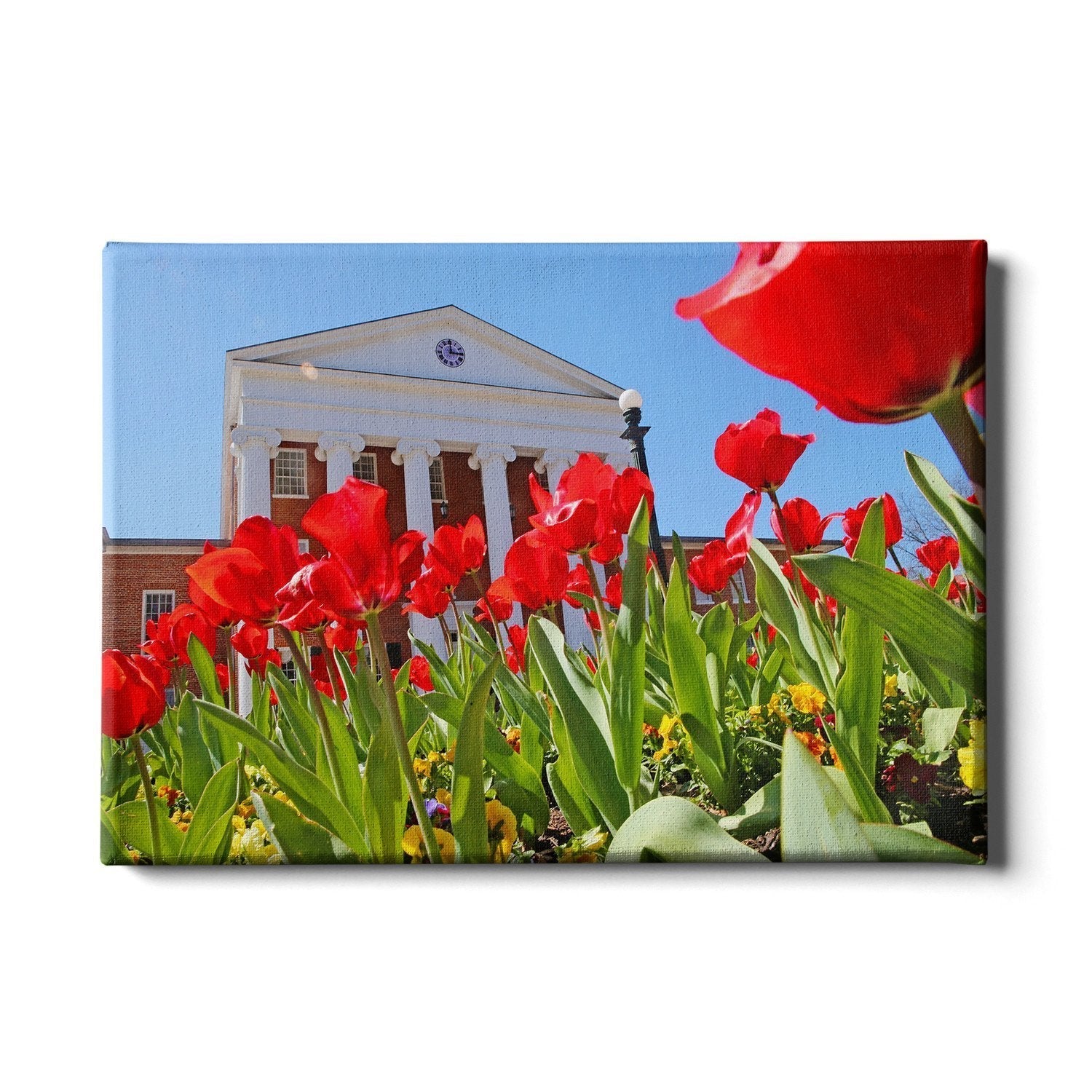 Ole Miss Rebels - Spring Lyceum - College Wall Art #Canvas