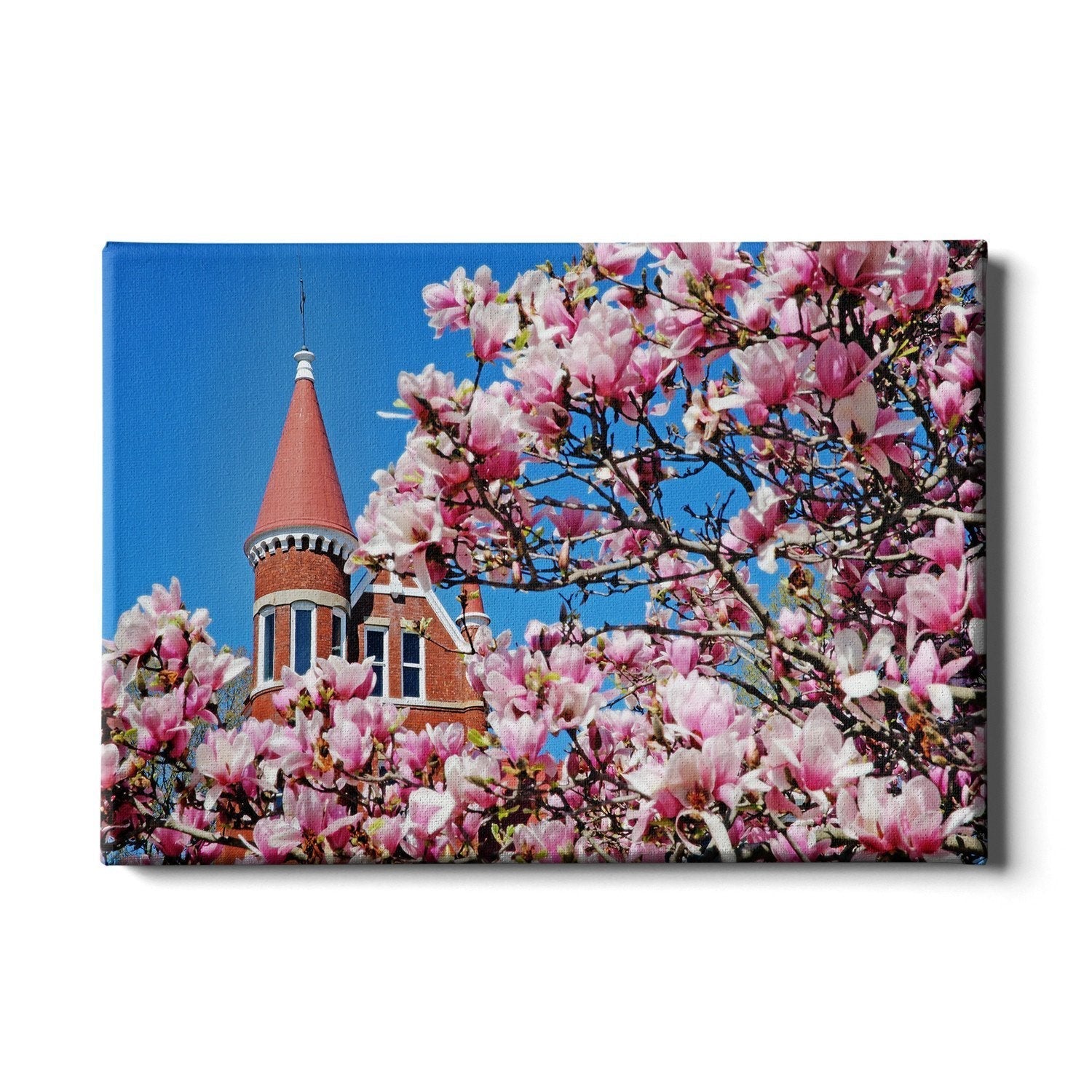 Ole Miss Rebels - Cherry Blossom Ventress - College Wall Art #Canvas