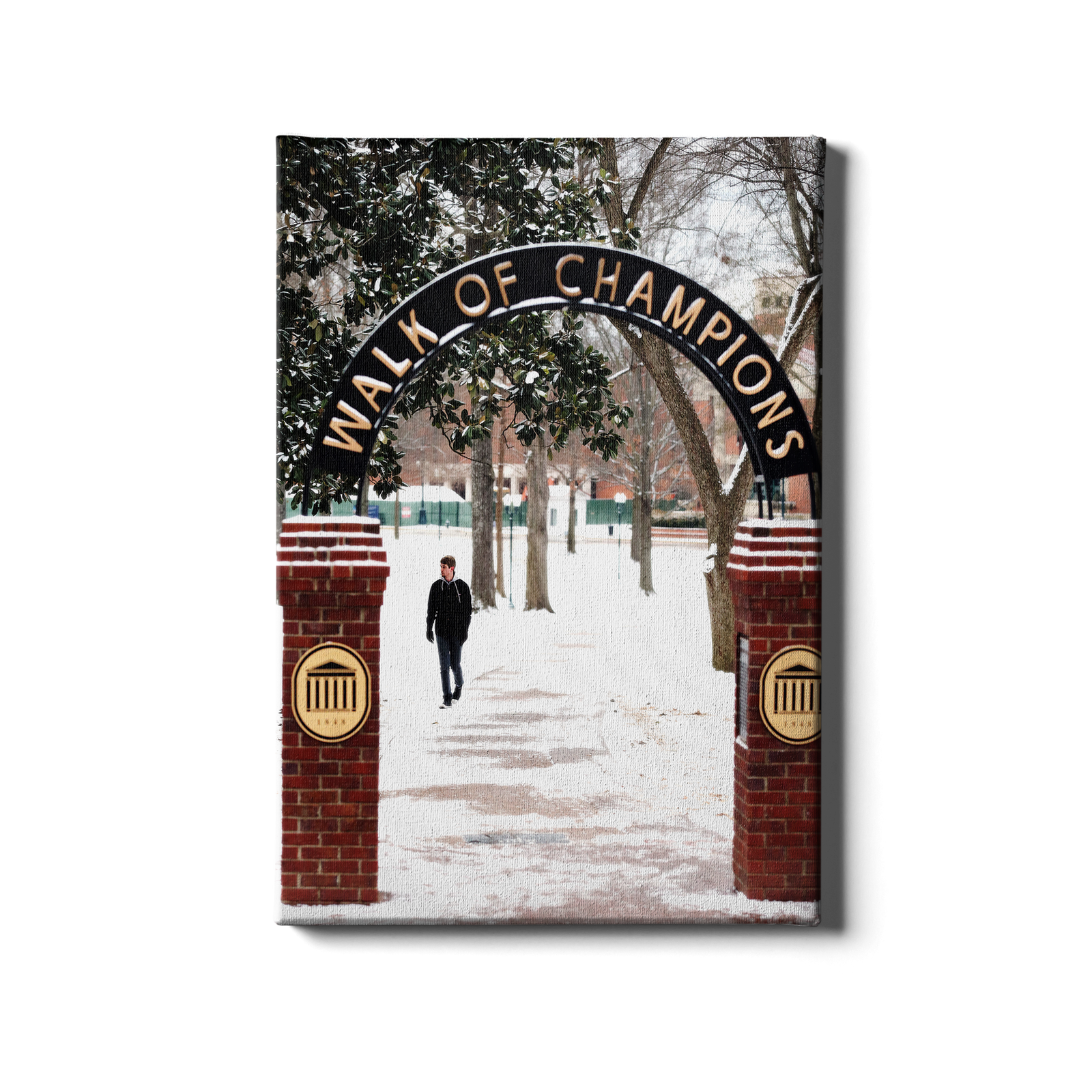 Ole Miss Rebels - Snowy Walk of Champions - College Wall Art #Canvas