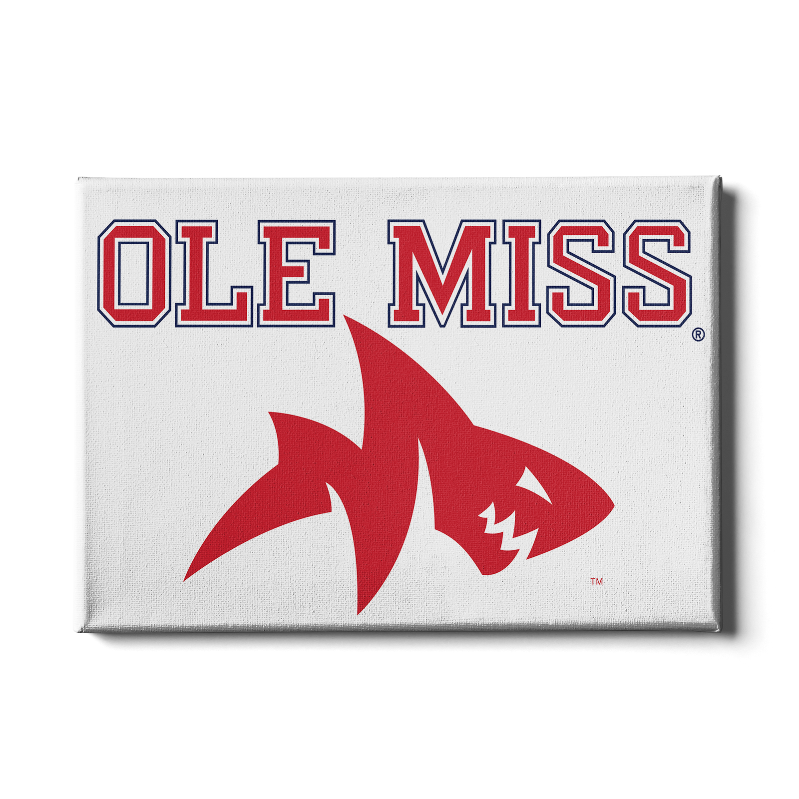 Ole Miss Rebels Mascot Rebel Wall Art