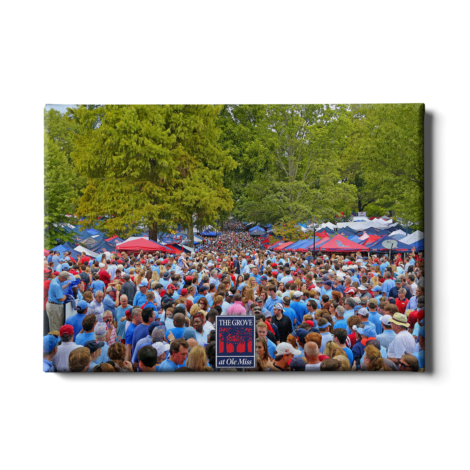 Ole Miss Rebels - Swarm the Grove at Ole Miss - College Wall Art #Canvas