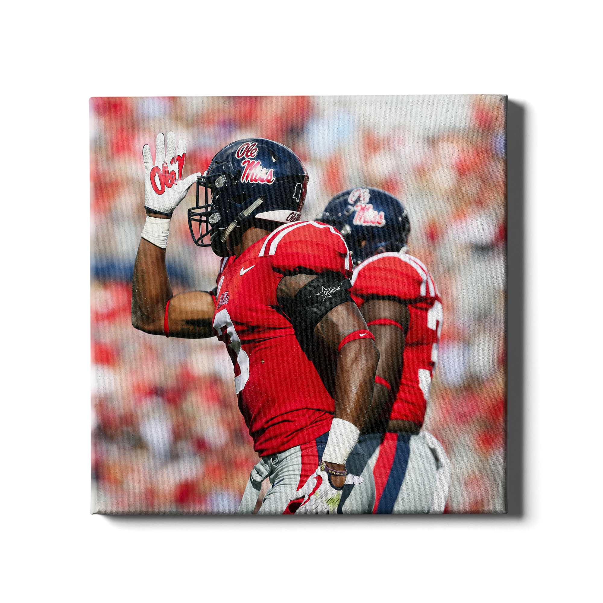 Ole Miss Rebels - Fins Up - College Wall Art #Canvas