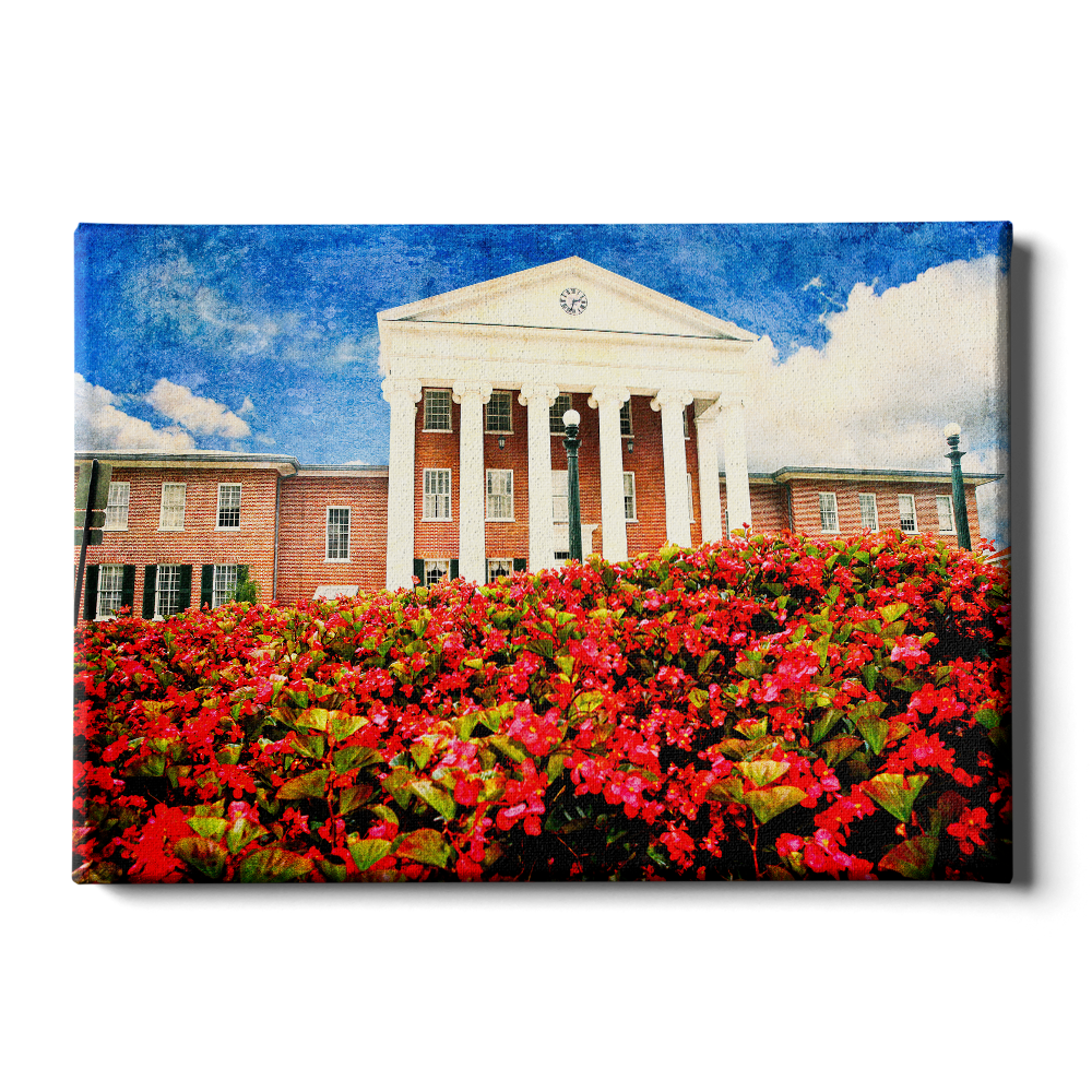 Ole Miss Rebels - Lyceum Paint - College Wall Art #Canvas
