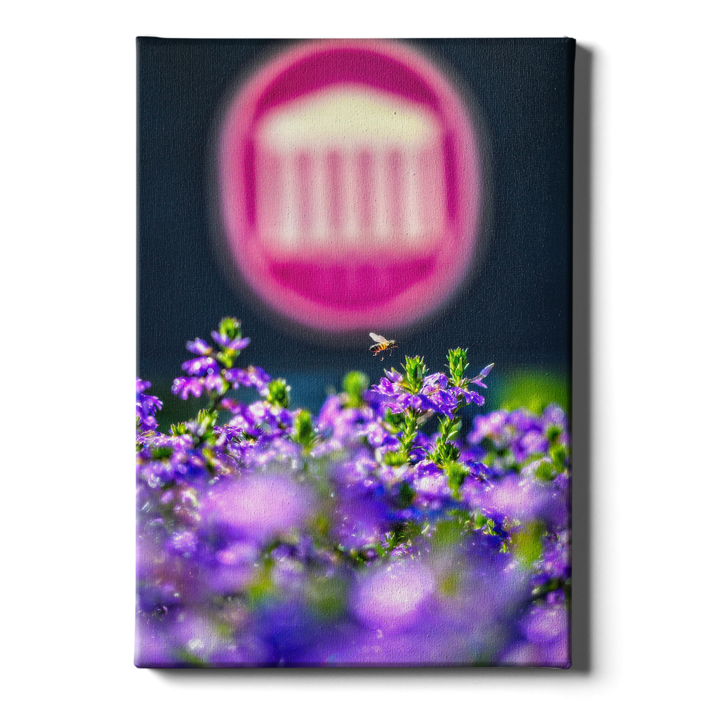 Ole Miss Rebels - Ole Miss Honey Bee -College Wall Art #Canvas