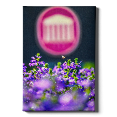 Ole Miss Rebels - Ole Miss Honey Bee -College Wall Art #Canvas