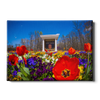 Ole Miss Rebels - 2021 Tulip Circle - College Wall Art #Canvas